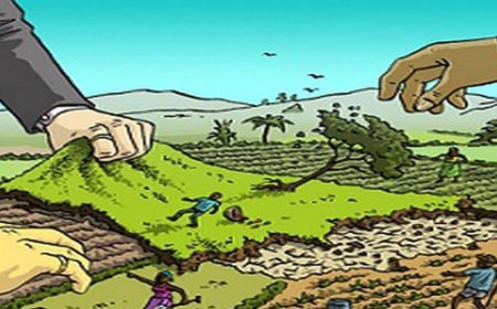 എൻആർഐ വീടുകളുടെ ഉപയോഗിക്കാത്ത ഭൂമി: കയറ്റുമതി കേന്ദ്രീകൃത ഭൂമിബാങ്ക് മാതൃകയിലൂടെ കേരളത്തിന്റെ പുതിയ സമ്പദ്‌വ്യവസ്ഥ