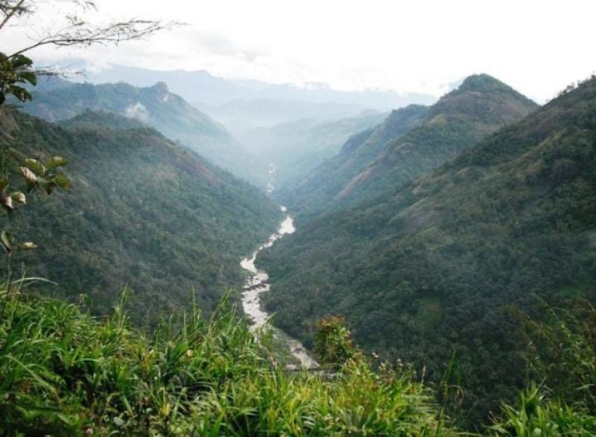 പശ്ചിമഘട്ടത്തെ കാണാതെ പോയ നയങ്ങൾ,