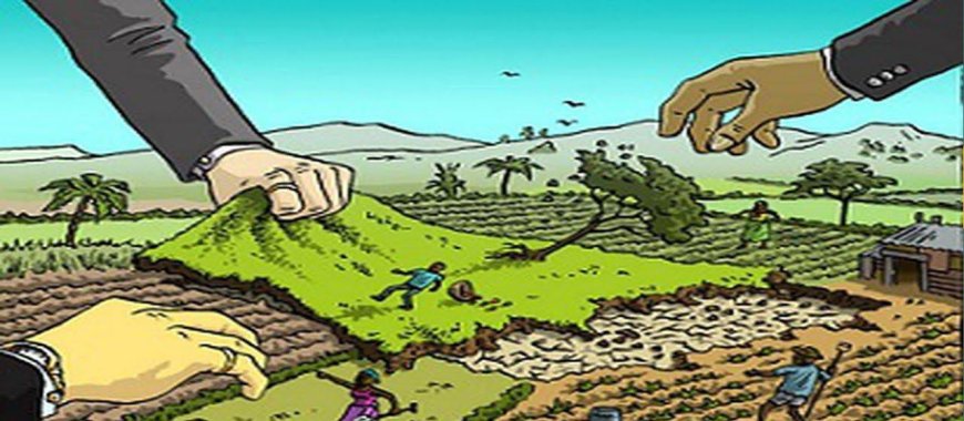 എൻആർഐ വീടുകളുടെ ഉപയോഗിക്കാത്ത ഭൂമി: കയറ്റുമതി കേന്ദ്രീകൃത ഭൂമിബാങ്ക് മാതൃകയിലൂടെ കേരളത്തിന്റെ പുതിയ സമ്പദ്‌വ്യവസ്ഥ