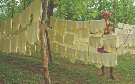 കൃഷി കേരളത്തിൽ. ലാഭവും വിദേശ നാണയവും മറ്റിടങ്ങളിൽ