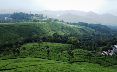 രാഷ്ട്രീയത്തിന്റെ ശൂന്യത ഹൈറേഞ്ച് കേരളത്തെ എങ്ങനെ ദുർബലമാക്കുന്നു