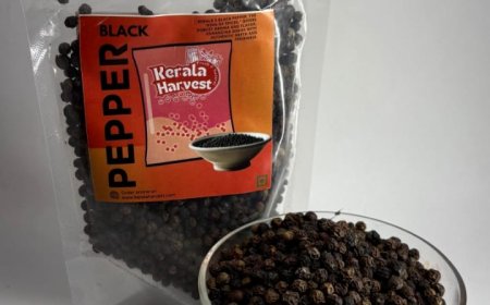 ഹൈറേഞ്ച് കേരളം നഷ്ടപ്പെടുത്തിയ അവസരങ്ങൾ