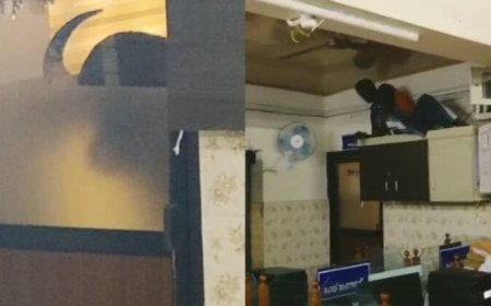 മറയൂരിൽ കാട്ടുപോത്ത്; പഞ്ചായത്ത് ഓഫീസിലും ഹോട്ടലിലും പരാക്രമം