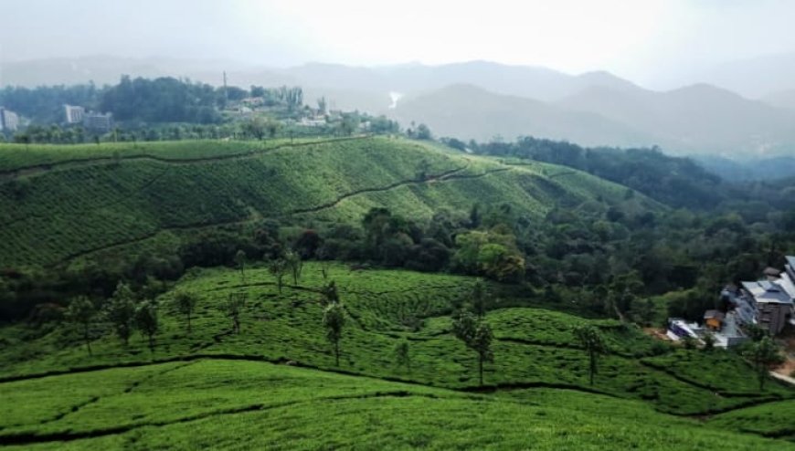 രാഷ്ട്രീയത്തിന്റെ ശൂന്യത ഹൈറേഞ്ച് കേരളത്തെ എങ്ങനെ ദുർബലമാക്കുന്നു