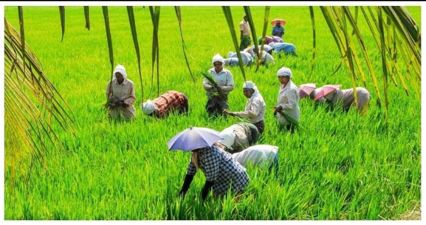 കൃഷിയും സ്റ്റാർട്ടപ്പുകളും ഒന്നിക്കുമ്പോൾ: കേരളത്തിൽ ഒരു പുതിയ കയറ്റുമതി സംരംഭകത്വം