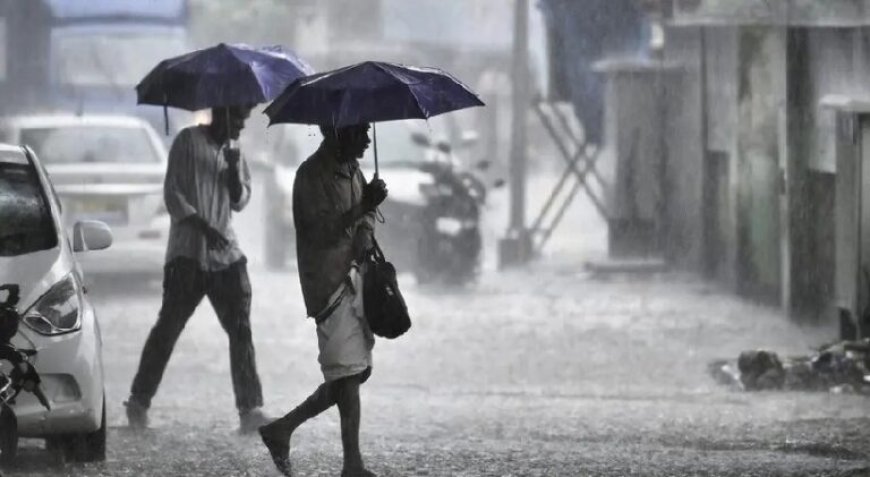 ഈ ജില്ലക്കാരുടെ ശ്രദ്ധയ്ക്ക്; വരും മണിക്കൂറിൽ മഴയ്ക്ക് സാധ്യത