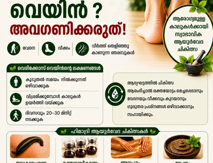യൂറോപ്യൻ യൂണിയനിലേക്ക് വീണ്ടും നീങ്ങാൻ ഐസ്‌ലാൻഡ്; സുരക്ഷയും സമ്പദ്‌വ്യവസ്ഥയും പ്രധാന ചർച്ചയായി