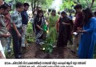 *പരിസ്ഥിതി ദിനാചരണം ജില്ലാ കലക്ടര്‍ ഉദ്ഘാടനം ചെയ്തു*