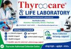 ലോകകപ്പിൽ സൗദി അറേബ്യയ്ക്ക് ചരിത്രനേട്ടം; ഉറുഗ്വെയ്ക്കെതിരെ ആദ്യ ഗോൾ നേടി അബ്ദുലെലാഹ് അൽ-അംറി