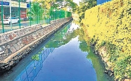 കൊച്ചിയിലെ കനാലുകളും ഓടകളും അടിയന്തരമായി ശുചീകരിക്കണം;