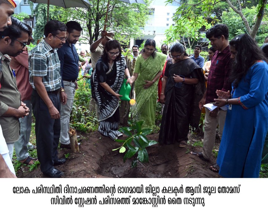 *പരിസ്ഥിതി ദിനാചരണം ജില്ലാ കലക്ടര്‍ ഉദ്ഘാടനം ചെയ്തു*