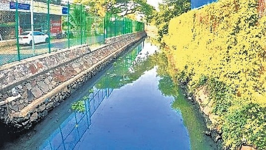 കൊച്ചിയിലെ കനാലുകളും ഓടകളും അടിയന്തരമായി ശുചീകരിക്കണം;